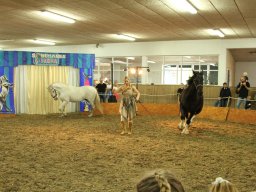 IMG_5194_web